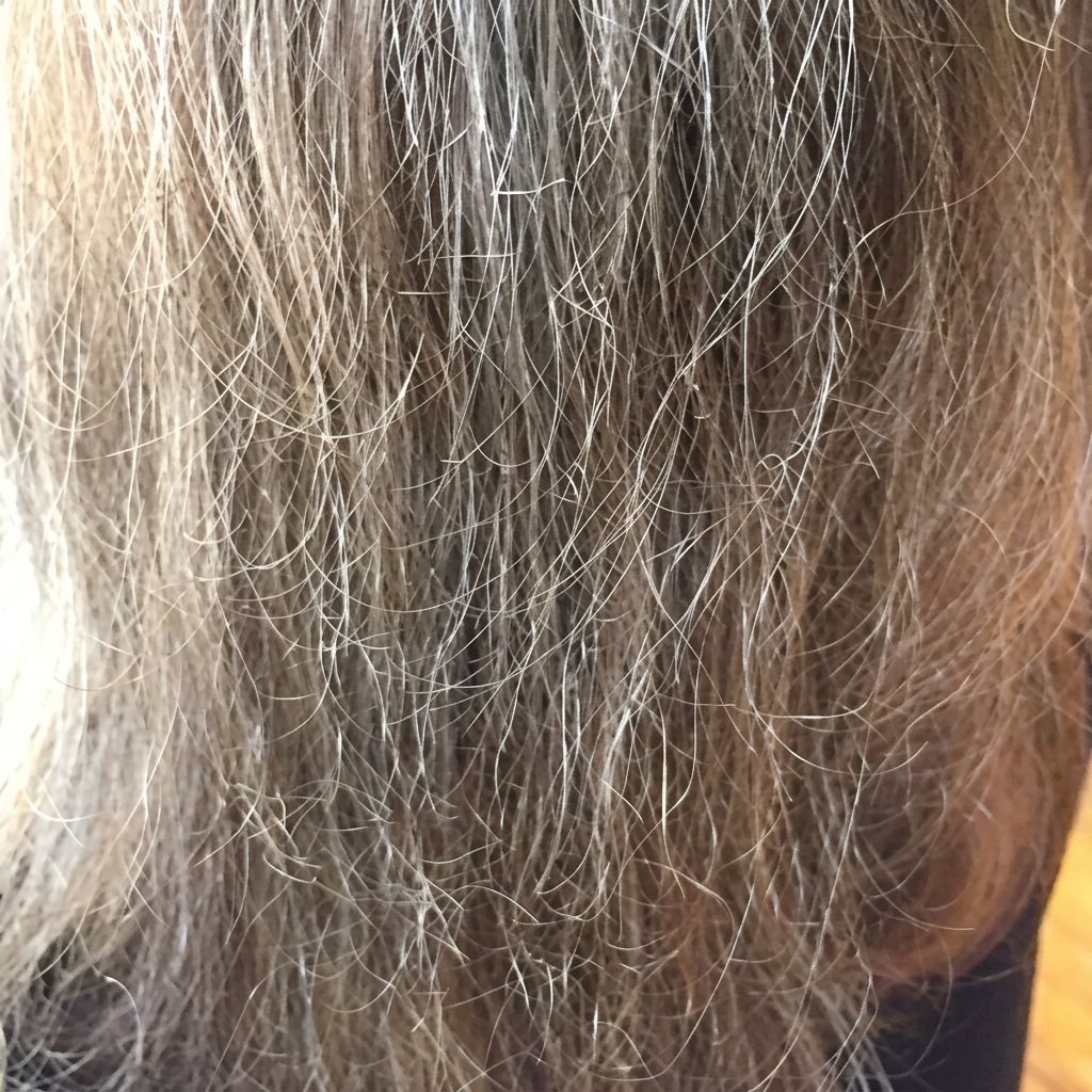 Hair shine before and after switching to filtered shower water — before
